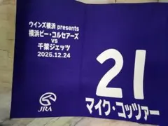 Item thumbnail for item 9ae8c223-069f-493c-90be-b69746b2d0de