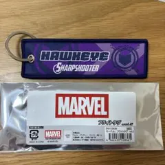 MARVEL フライトタグ vol.2 HAWKEYE マーベル　ホークアイのサムネイル