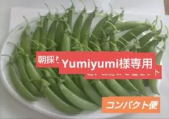 2026年最新】イングラム稲穂の人気アイテム - メルカリ