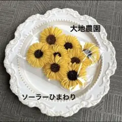 済　パセリ様　ご専用