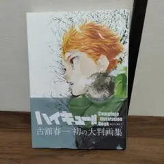 ハイキュー!! Complete Illustration Book 大判画集