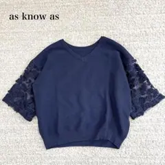 アズノゥアズ 半袖ニット Vネック 袖レース 花柄 異素材 透け感 フェミニンのサムネイル