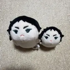 ハイキュー　もちマス　赤葦京治