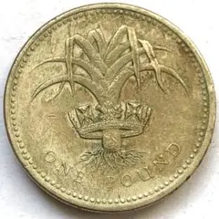 2025年最新】旧1ポンド 硬貨の人気アイテム - メルカリ
