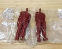 2026年最新】一番くじ進撃の巨人～地鳴らし～ロットの人気アイテム