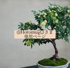 Item thumbnail for item 6fc7335e-3066-4992-a04f-178c81552e56