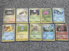 TCG 海外版 北米版 ポケカ コレクション整理 引退品 ホロ 英語