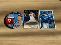 中日ドラゴンズ 柳裕也 まとめ売り