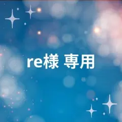 re様 専用出品