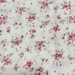 Item thumbnail for item da87eb69-ab38-4785-941b-1becb1606ead