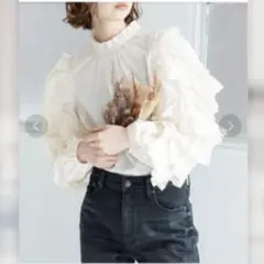 ウラジョンソン フリルブラウス 2026年最新】ulla johnson レディース シャツ・ブラウスの人気アイテム