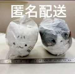 2025年最新】ShiNee テミン ぬいぐるみの人気アイテム - メルカリ