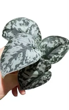 NOBA様 リクエスト 2点 まとめ商品