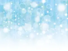 専用