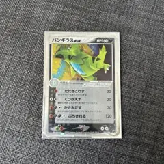 大特価 バンギラスex たたきこわす 金の空 銀の海【ポケモンカード