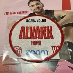アルバルク東京 ワッペン ステッカー