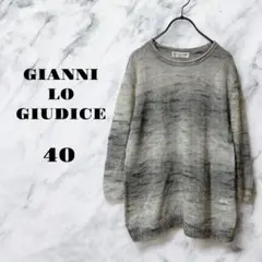 【良品】GIANNI LO GIUDICE 長袖 ニット 薄手 グレー 【40】