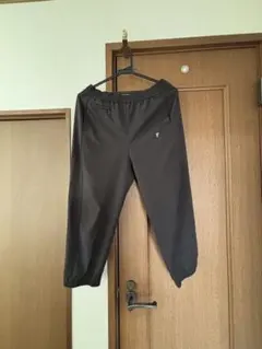 Item thumbnail for item d3b2e5cf-8126-4f11-90ea-23187cde81a0