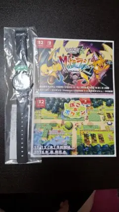 ポケモンZAエディオン特典