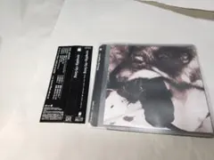 【帯付き、ケースなし】Syrup16g 『My Song』 シロップ