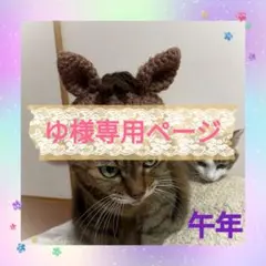 猫用干支の被り物（午）