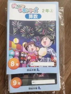 【a】ジュニア予習シリーズ2年生 セット ※画像は参考※【+冬期】 2025年最新】ジュニア予習シリーズ 2年の人気アイテム - メルカリ