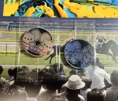 中国限定 ポケモンカードゲーム ワッカネズミ＆イッカネズミ コイン シルバーリフのサムネイル