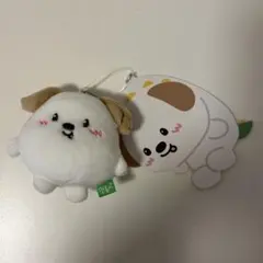 2026年最新】riize ぬいぐるみ アントンの人気アイテム - メルカリ