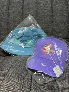 Item thumbnail for item 42070f4d-5ddb-4db0-8236-2946d6acac31