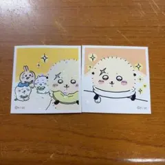 ラッコ先輩　シール 2枚セット ホログラム
