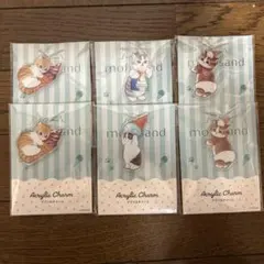 《モフサンド》アクリルチャーム☆全4種コンプリート mofsand猫の日限定商品