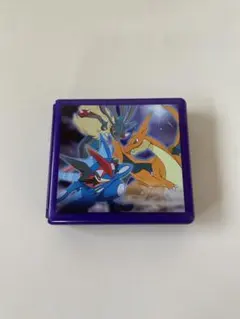 ポケットモンスター ✩DSゲームソフトケース