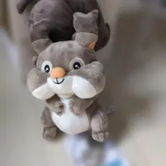 【新品・未使用】　ポケモン　ホシガリス　ぬいぐるみキャップ　ポケパークカントー ポケパークカントー ホシガリス ぬいぐるみキャップ - メルカリ