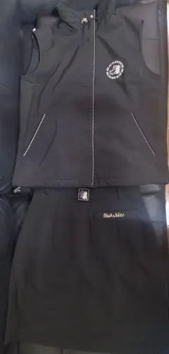 Item thumbnail for item 12eaf876-037a-426d-9783-f161ae35fad0