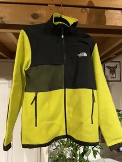 海外企画　NORTH FACE ノースフェイス　デナリジャケット