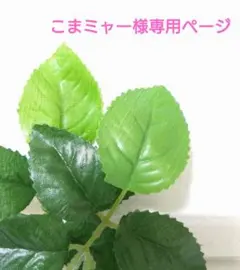 ＊こまミャー様専用ページ＊