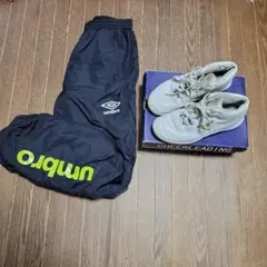 Item thumbnail for item 92d029bf-7b81-4eaa-9621-f144090b8623