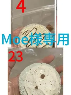 Moe様専用ページ