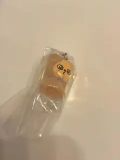 Stray Kids スキズ　パピーム