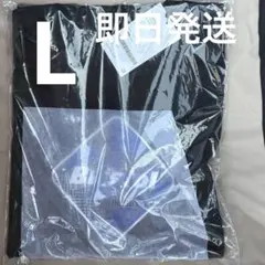 Fragmentフラグメント CAMOUFLAGE EMBLEM TEE XXL - メルカリ