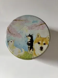 芝犬　犬　空缶