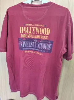 Item thumbnail for item 01e3a760-90be-4b3d-b18e-f03e698a28cf