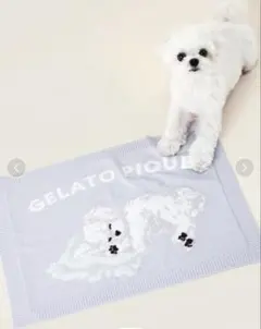 ジェラートピケ 【CAT&DOG】マルチーズ柄ブランケットのサムネイル