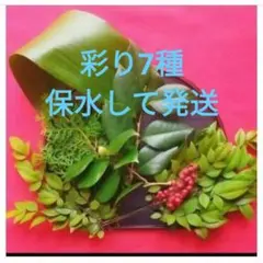 Item thumbnail for item cd176906-2339-428a-8c94-b7c631289ecf