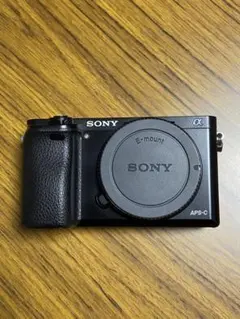 SONY α6100 ボディ ブラック【海外仕様・英語メニュー対応】 - メルカリ