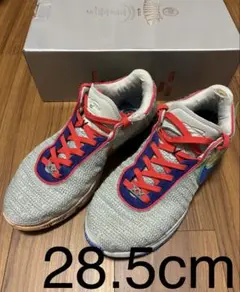 NIKE レブロン20 バッシュ　28.5センチ NIKE レブロン20 バッシュ 28.5センチ
