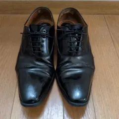 Item thumbnail for item 5c02b690-6034-4cb7-b183-adfc9d589bad