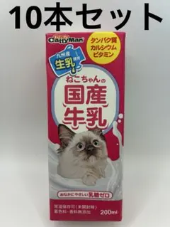 Item thumbnail for item 92b8bf49-2a73-4a64-80f7-0991fd01aa82