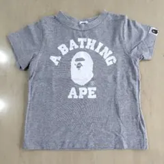 Item thumbnail for item f9559ae0-f02d-4caa-8e9c-72f18cea610d