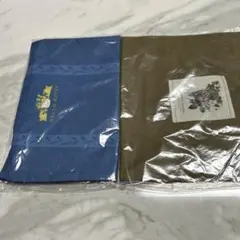 Item thumbnail for item 97d3f02f-a92d-4ef8-8573-7b32991cb395